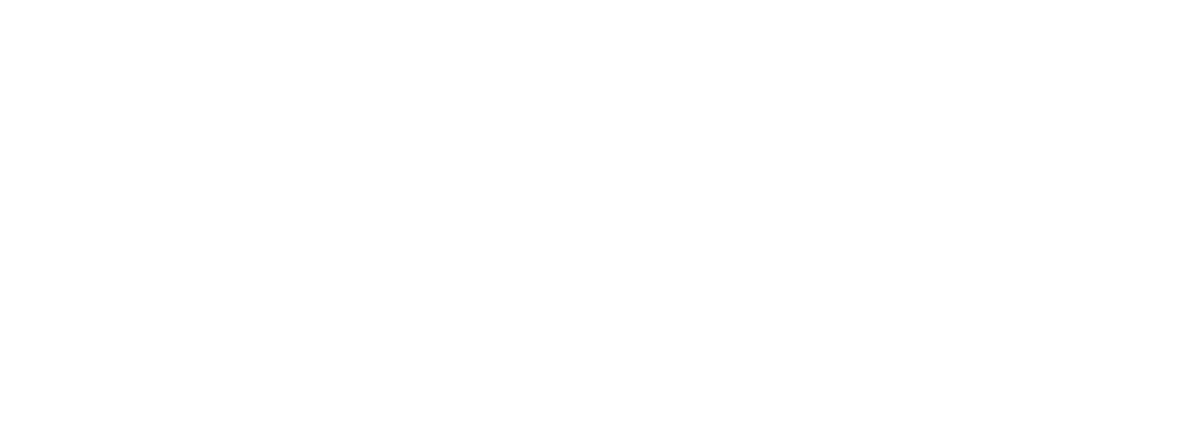 全く別物ですの画像